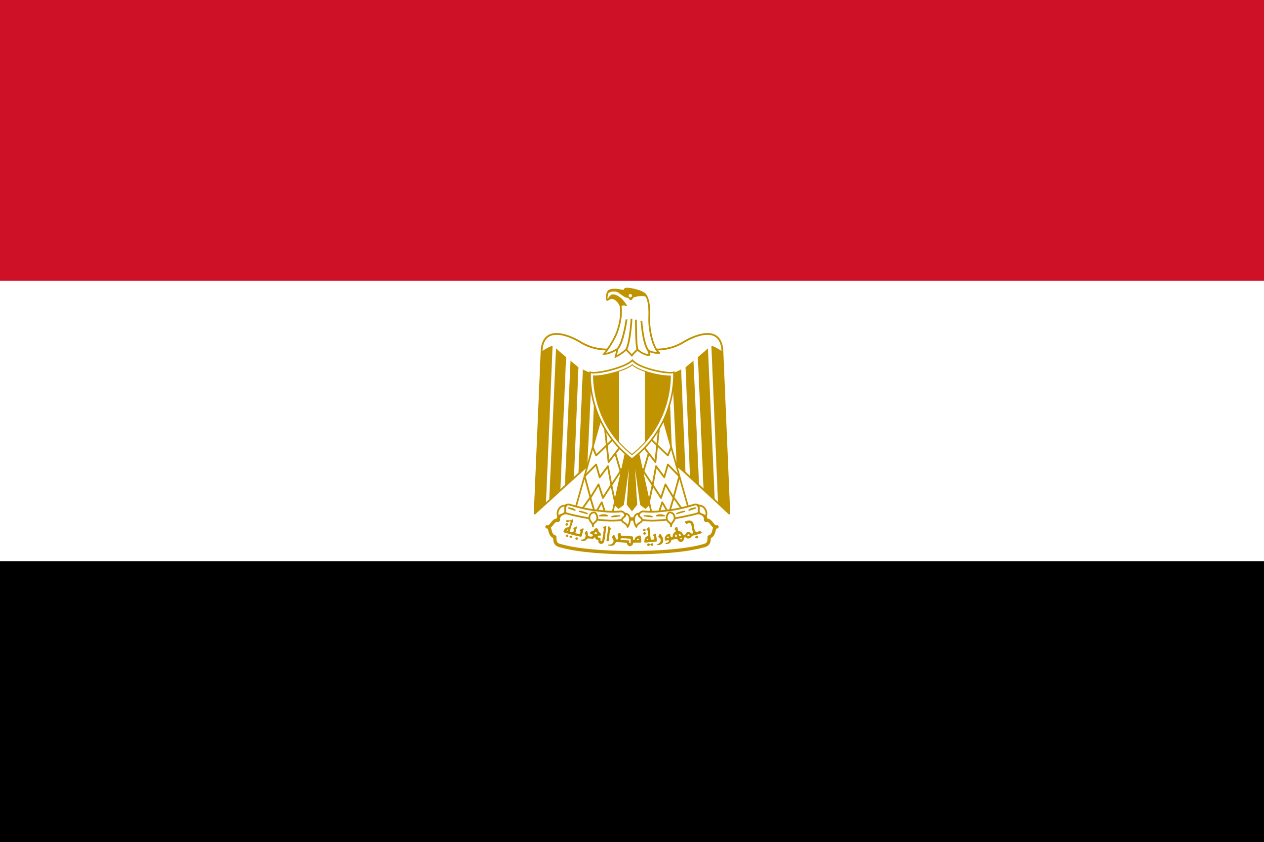 Drapeau du pays